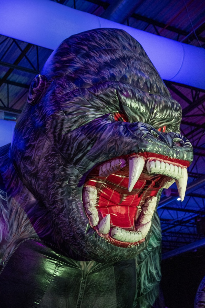King Kong snarls from the rafters in blue light at Coloween's Halloween costume party